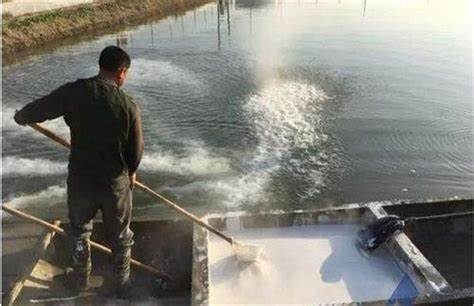 OIP-C 1 OIP-C 1