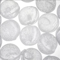 Uzdatnianie wody 1mm 3mm 6mm 10mm 20mm Granulowany Siliphos Polifosforan Kryształowe RO Kulki przeciw kamienia